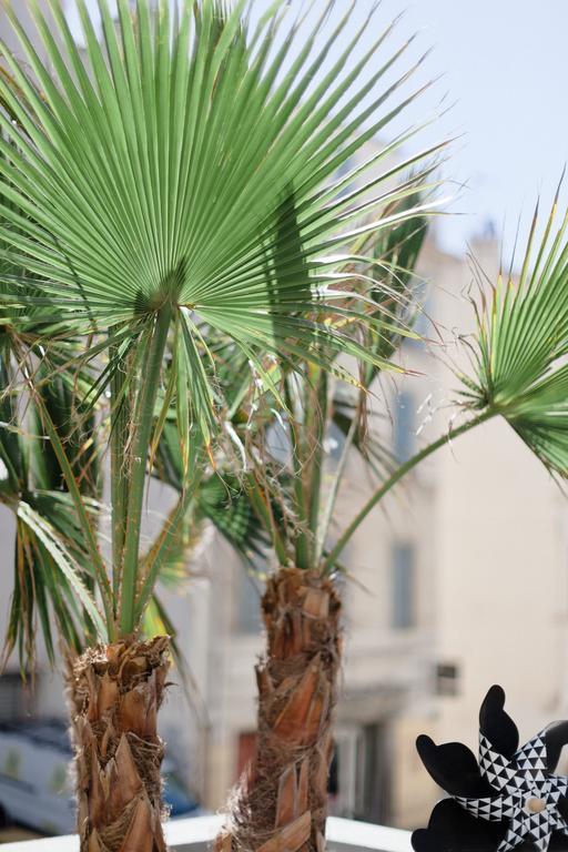L'Orangeraie Et La Palmeraie D'Endoume Marseille Kültér fotó